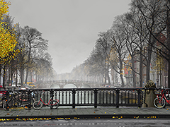 Amsterdam Mist