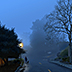 Evening Fog on the Corner